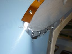 Canopy (71)